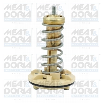 Thermostat, coolant